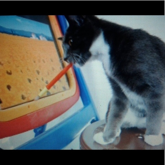 Happy poshing ❤️ - Picture 6 of 16